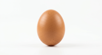 Egg