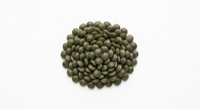 Lentils
