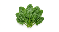 Spinach