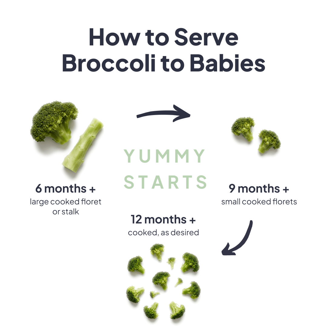 How to serve broccoli to babies