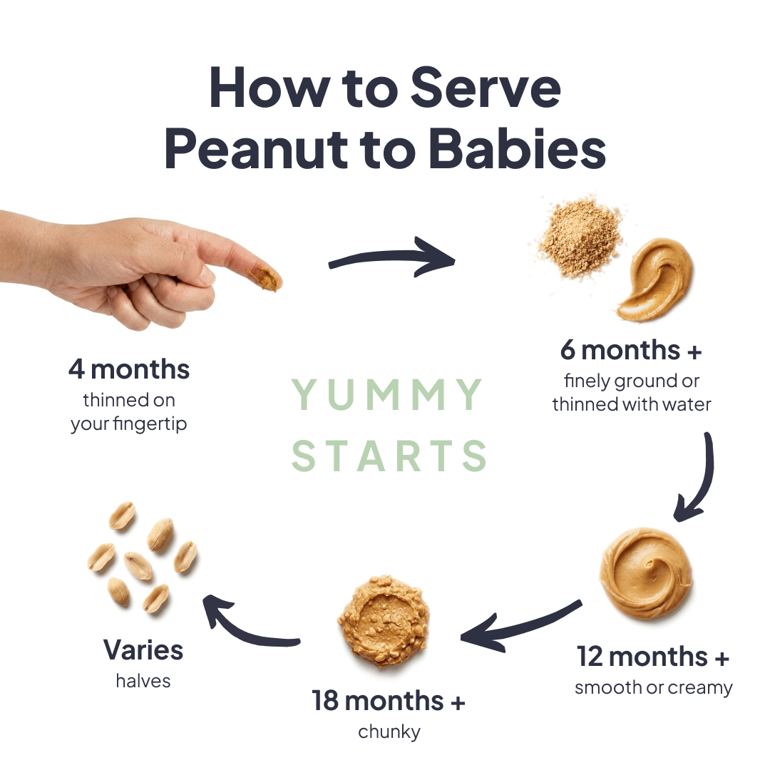How to serve peanut to babies — age-by-age serving infographic